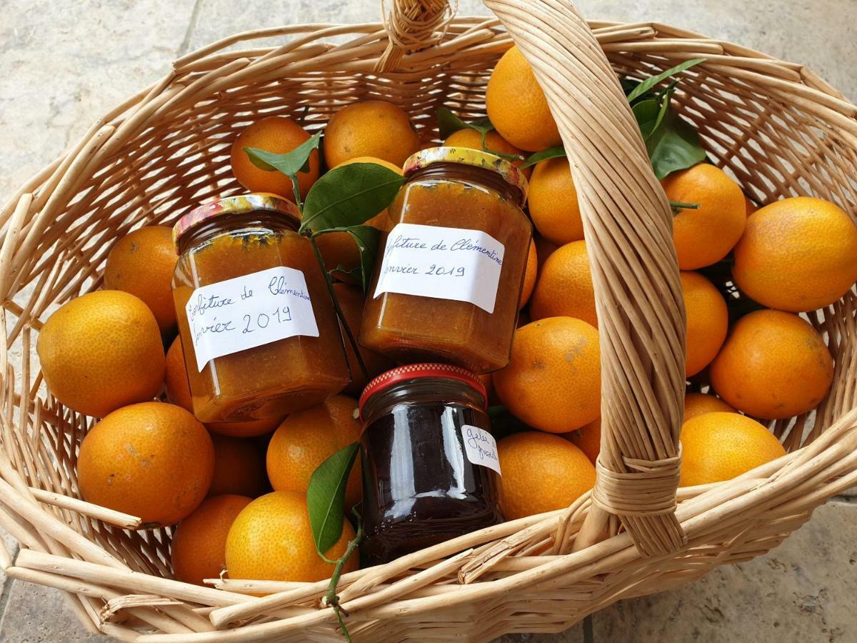 Casa Petre E Fiori 호텔 세르비온 외부 사진